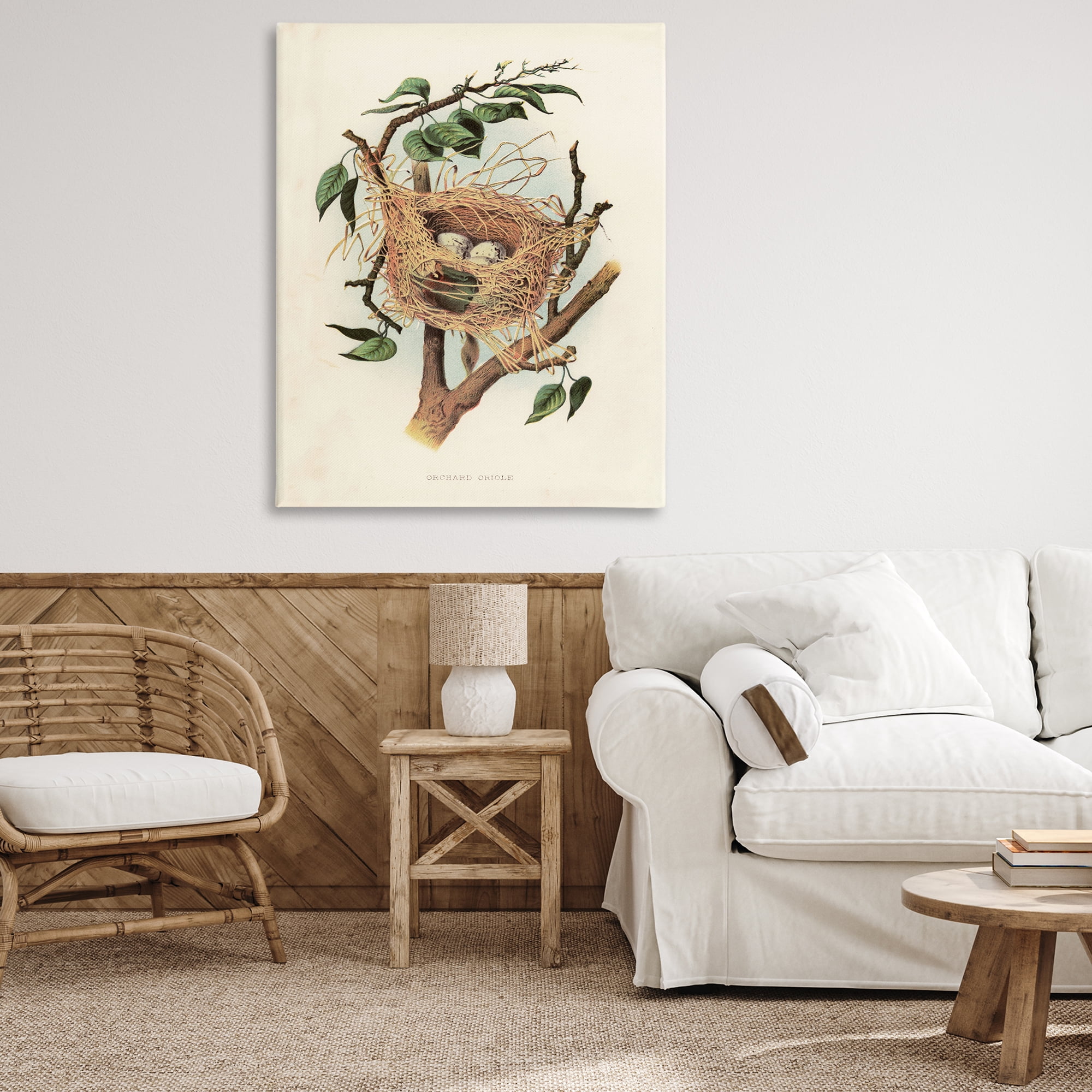 Stupell Industries Eggs in Birdnest Study Plants & Flowers Painting Wrapped Canvas Art Print Wall Art, 36 x 48