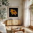 thumbnail image 3 of Black Eyed Susan - Photography Floral Flowers Botanical Nature Garden Summer Scenic Oak Framed Wall Art Print 16 x 16 inches, 3 of 8
