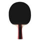 thumbnail image 4 of Establecimiento Tenis de Mesa 2 Jugadores Establecidos 2 Raquetas de Murciélagos de Tenis de Mesa y 3 Bolas de Ping pong Con Bolsa de Cubierta, 4 of 7