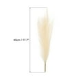 thumbnail image 2 of Uxcell 6Pcs Pampas Grass,17.7" Fake Pampas Grass for Home Decor,Wedding Decoration,Champagne, 2 of 6