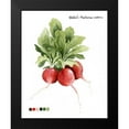 thumbnail image 2 of Popp, Grace 20x24 Black Modern Framed Museum Art Print Titled - Root Vegetable IV, 2 of 5