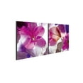 thumbnail image 4 of Chic Home Orchid 2 Piece Set Wrapped Canvas Wall Art, 4 of 4