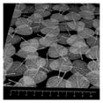 thumbnail image 3 of BDF 4WHLV White Leaves Decorative Window Film 36in X 7ft, 3 of 6