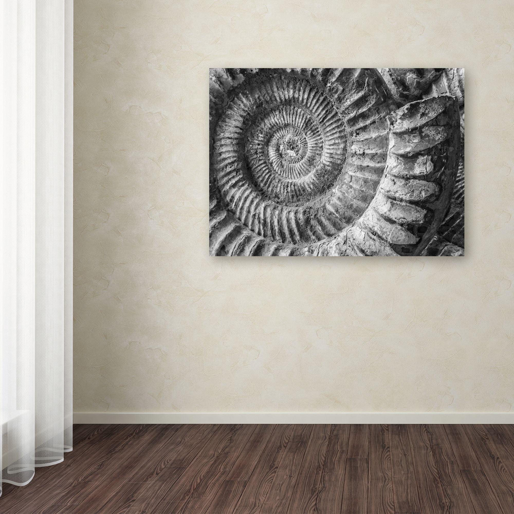 Trademark Fine Art "Amonita 1" Canvas Art by Moises Levy