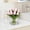 pink, variant on Gaderth Artificial Tulip Flowers with Vase, 12 Heads PU Mini Real Touch Tulip Bouquets, Lifelike Faux Flowers, Home Table Centerpiece for Home Wedding Party