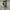 Green,Black, variant on VgaVtl Womens Plus Yoga High Waist Women's Leggings Skinny Athletic Long Plaid Leisure Pants