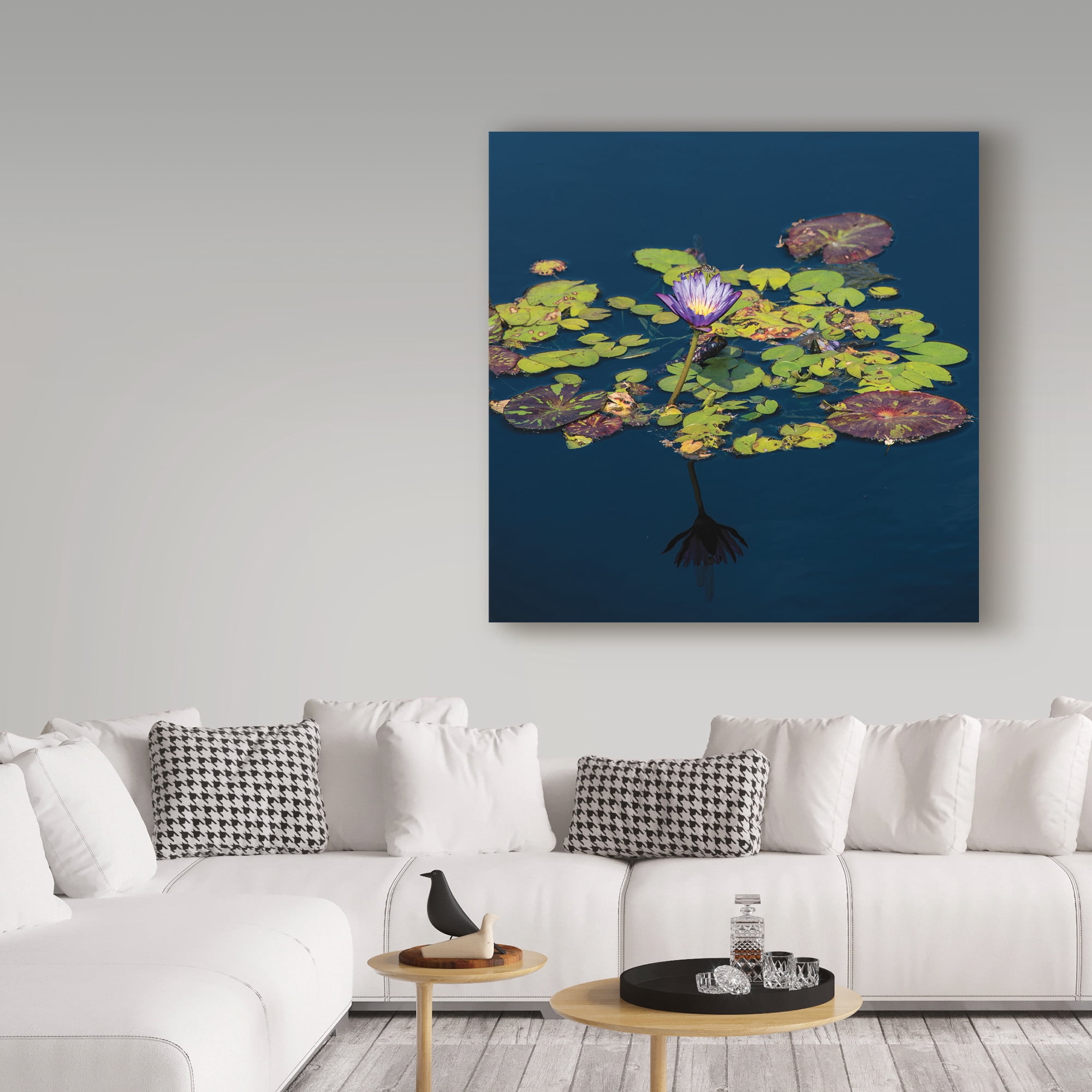 Trademark Fine Art 'The Lotus and the Dragonfly' Canvas Art by Kurt Shaffer