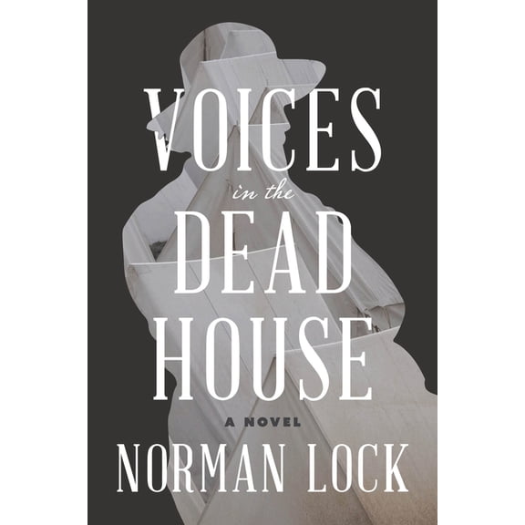 American Novels Voices in the Dead House, (Paperback)