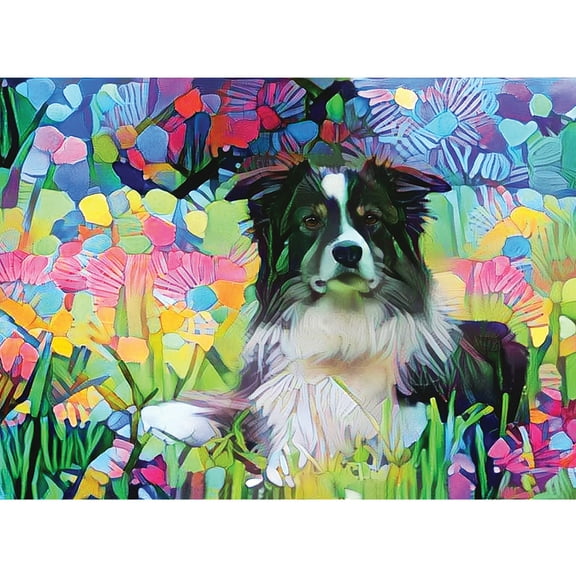 Border Collie