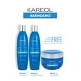 thumbnail image 4 of Tratamiento Antiedad Antioxidante Kareol Arandano 300gr Arandano Azul, 4 of 4