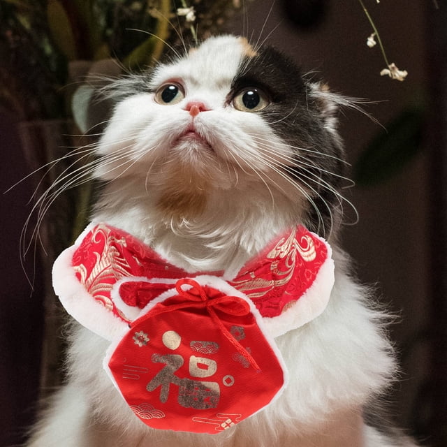HEALEEP De Abrigo Y Cómoda Para Mascotas En Fiestas De Y Año Nuevo
