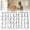 White*10, variant on 5PC Workout Posters for Home Gym Dumbbells, Bodyweight, Stretching, Resistance Bands, Yoga, Kettlebells Exercise Chart Full Body Workout Poster Set Muscle Engagement Chart Garage Gym Decor,White