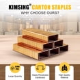thumbnail image 3 of HB3518 16 Gauge Copper Carton Closing Staples , 2000PCS/BOX, 3/4''(18mm) Length ,for Pneumatic or Manual Carton Stapler, 3 of 7