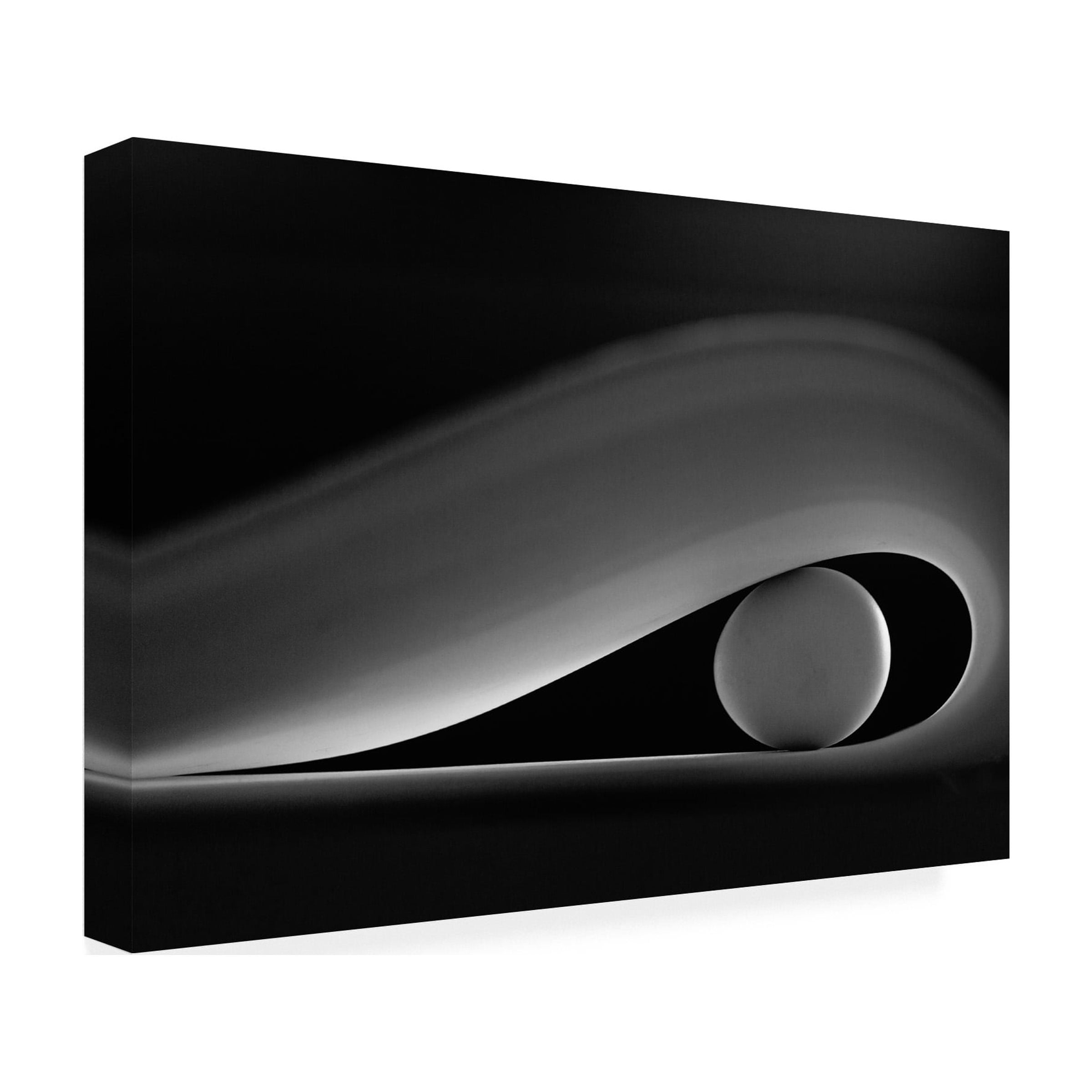 Olavo Azevedo 'The Egg' Canvas Art