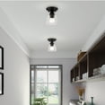 thumbnail image 3 of Livex Lighting Montgomery 1-Light Metal & Glass Flush Mount in Black, 3 of 7