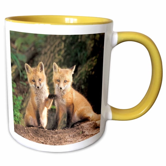 3drose, Red Fox Pup in Front of Den - Na02 Aje0310 - Adam Jones, 11oz Two-tone Yellow Mug