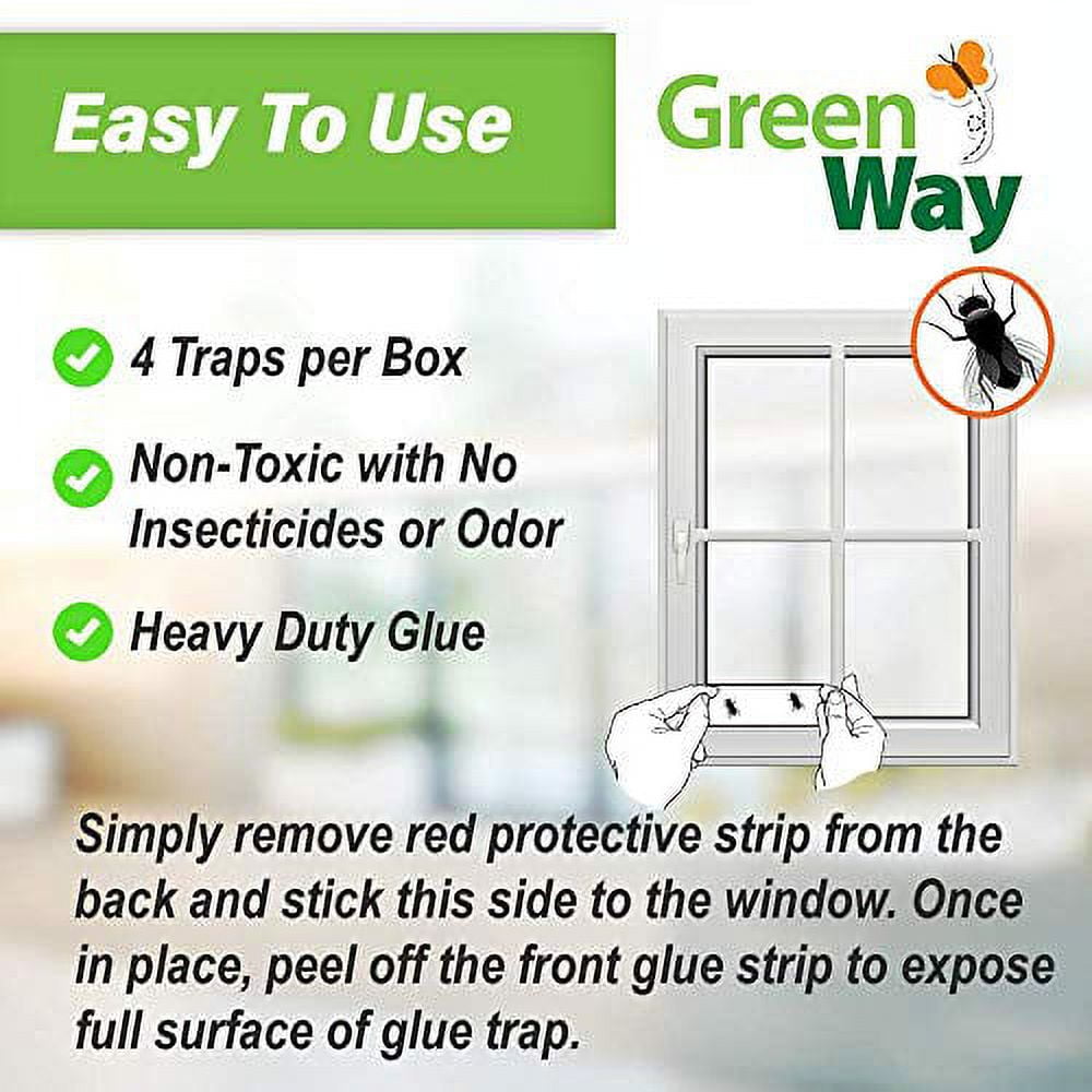 Window Fly Trap — GreenWay