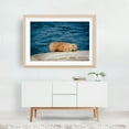 thumbnail image 6 of Sea Lions in La Jolla - La Jolla California Photography Ocean Coast Nature Wildlife Beach Unframed Wall Art Print 4 x 6 inches, 6 of 7