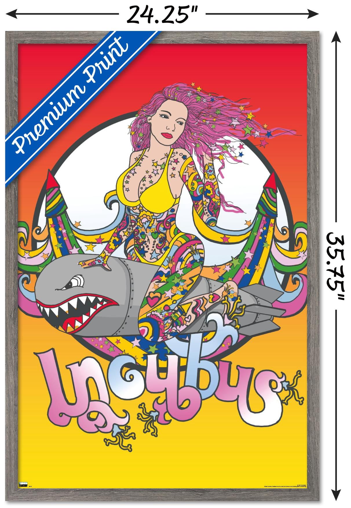 Incubus - Bomb Girl Wall Poster, 22.375" x 34", Framed