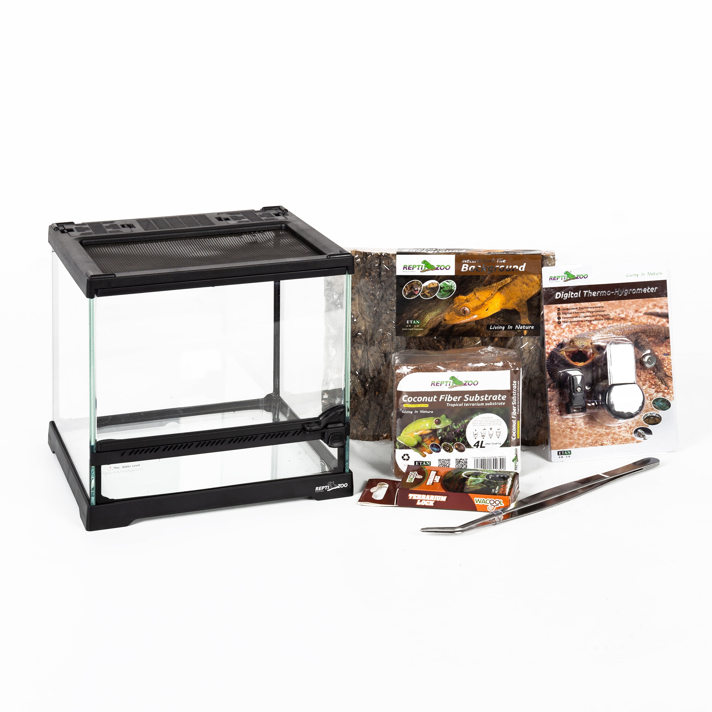 REPTIZOO Mini Glass Terrarium Kit 8 x 8 x 8 Inch for Insects Scorpion