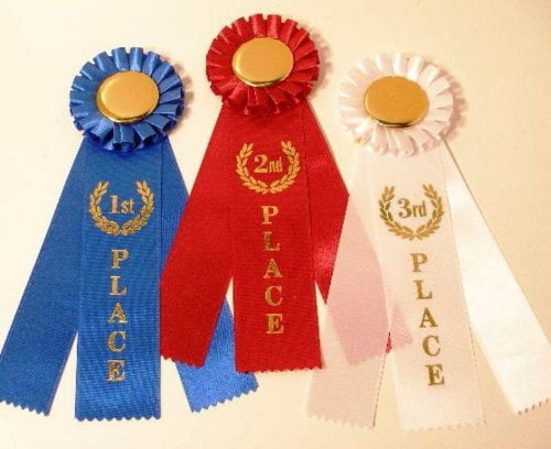 Award Ribbons 1st Party Favor 2nd and 3rd Place 