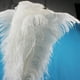 thumbnail image 5 of Observaciones para pedidos de compra: 10 piezas por paquete 45-50 varilla delgada pluma de avestruz puesta en escena pluma blanca boda decoración DIY plumas coloridas/avestruz ANGGREK Otros, 5 of 8