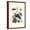 Brown Frame, variant on Art.com Grapevine with Gaudy Spinx Moth Stretched Canvas Print Wall Art by Maria Sibylla Merian, 12" x 18"