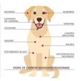 thumbnail image 3 of Detector de monóxido de carbono Kidde ultrasensible para mascotas, 3 of 5