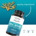 thumbnail image 4 of Thomas' Sea Moss with Burdock & Bladderwrack, 1600mg – Immune & Digestive Support, 120 Ct, 4 of 10