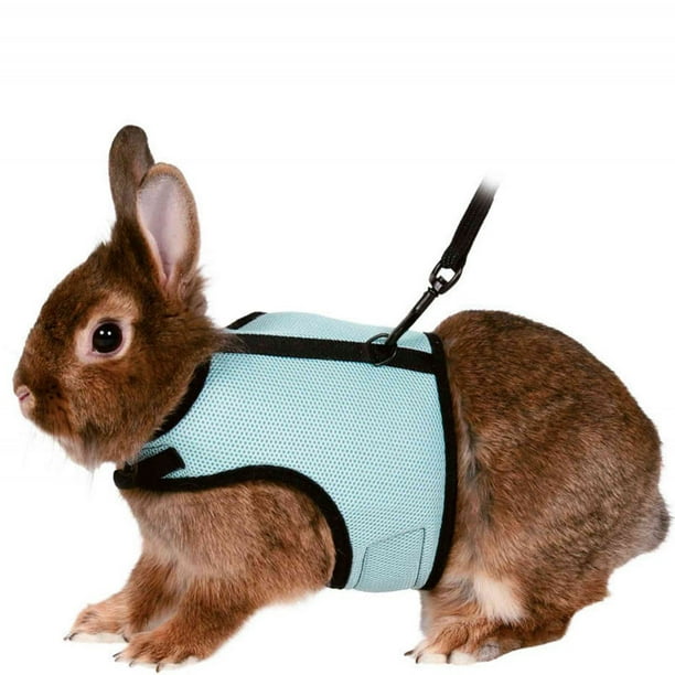 Arnés de conejo ajustable Arnés de correa de conejo suave Arnés de conejo de malla Chaleco de hámster con correa elástica para animales pequeños Conejos Hamsters Gatos caminando (Azul claro)