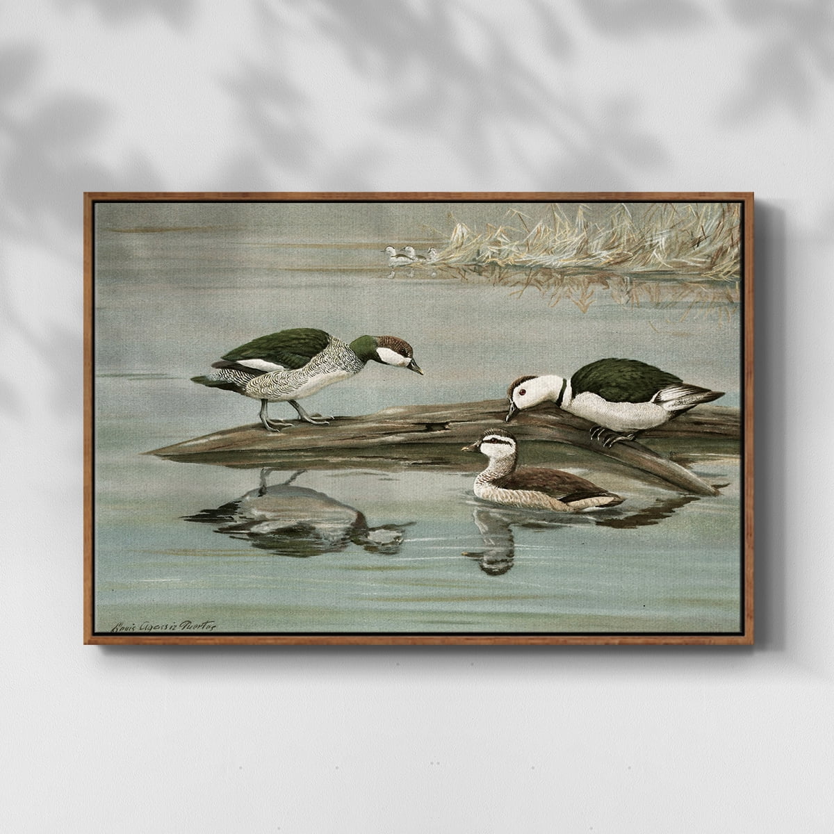 Vintage Animal Print-XIX By Wexford Home Framed in Walnut Wood Gallery Wrapped Canvas 17 in. x 25 in.