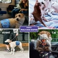 thumbnail image 4 of Dolebean Dog Diapers Male Puppies Belly Bands Reusable Wraps XS, 4 of 5