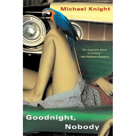 Goodnight, Nobody (Paperback)