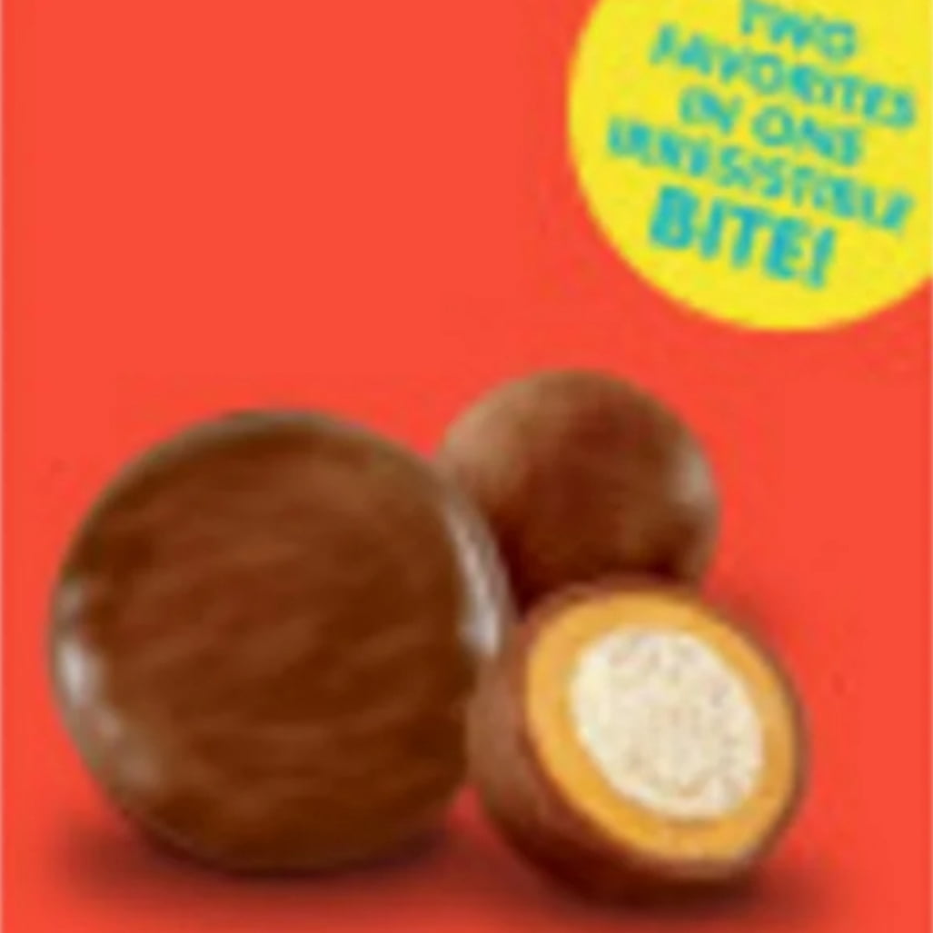 SKIPPY PB Bites Girl Scout Chocolate Peanut Butter Snack, Plastic Pouch 6 oz (2 pack)