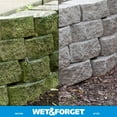 thumbnail image 2 of Wet & Forget No Scrub Outdoor Cleaner For Easy Removal Of Mold, Mildew And Algae Stains, Bleach-Free Formula, 1 Gallon Concentrate - Ships To California Only, 128 Fluid Ounces, 2 of 9