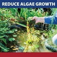 thumbnail image 4 of The Pond Guy InstaFix Algae Control, Outdoor Water Garden, Fountain & Birdbath Algae Solution, EPA Registered Liquid Algaecide, Control Green Water & String Algae, Bird, Fish & Pet Safe, 1 Gallon, 4 of 9