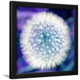thumbnail image 1 of Dandelion Seed Head, Botanical Scenic Framed Art Print Wall Art by Victor De Schwanberg Sold by Art.Com, 1 of 5