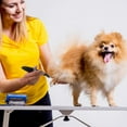 thumbnail image 5 of Jinsinto Cordless Clippers for Dogs, Cats and Small Dogs, Low Noise Electric Pet Clippers, Dog Grooming Clippers for Trimming Hair Around Paws, Eyes, Ears, Face, Rump, 5 of 5