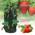 thumbnail image 4 of Gustave 2 Pack Strawberry Grow Bags Garden Plant Growing Bag Heavy Duty Pouch Fabric Pots Reinforced Handle 3 Gallon PE Cloth Bags for Strawberry Tomato Chili Pepper (Yellow), 4 of 8