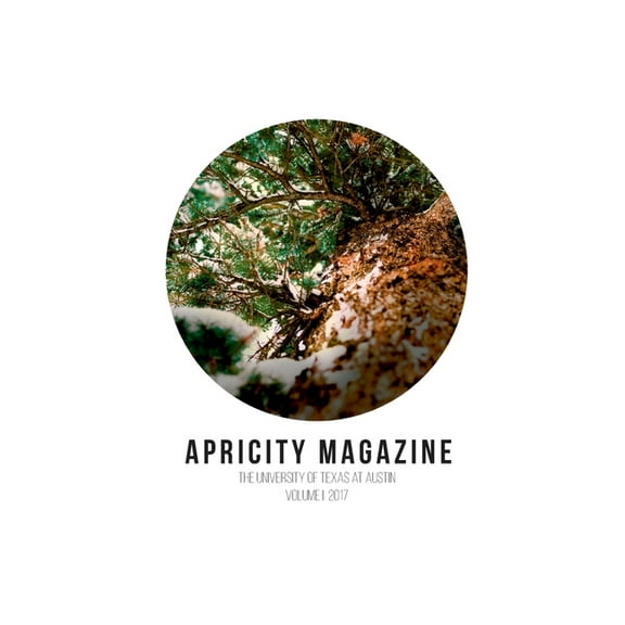 Apricity Magazine 2017, (Paperback)