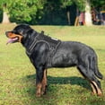 thumbnail image 2 of Arnés táctico para perros Beebiepet Heavy Duty para perros grandes, 2 of 5