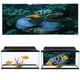 thumbnail image 4 of Póster de pecera, adhesivo de PVC, decoración de acuario amarillo, fondo de pecera, valor inmejorable, 4 of 8