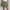 Green #2, variant on Up to 60% Off! pstuiky Tennis Skirts for Women, Women's Irregular Solid Color Lined Cake Skirt Short Culottes Skirt Skorts for Workout Casual Clearance Items Green S #2