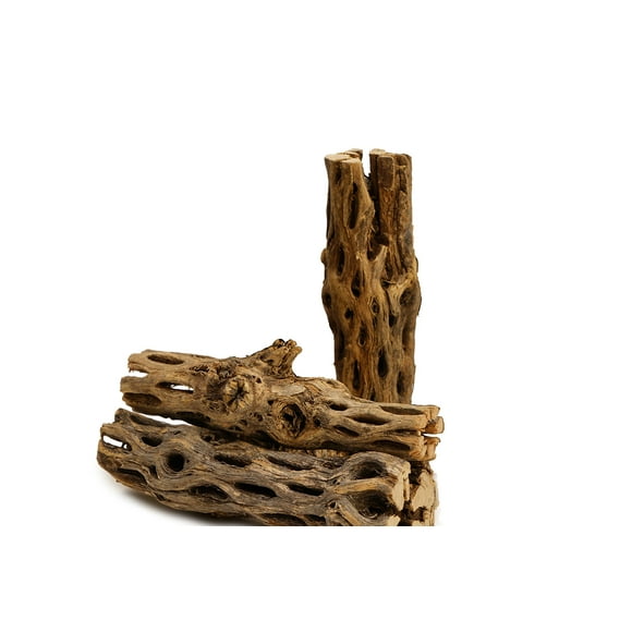 Cholla Wood Aquarium