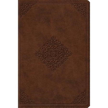 Pre-Owned Study Bible-ESV-Personal Size Ornament Design (Other)