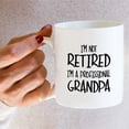 thumbnail image 6 of Funny Mug - I'm Not Retired I'm a Professional Grandpa 11 Oz Ceramic Coffee Mugs - Funny Sarcasm Motivational Retirement gifts for dad papa father granddad grandfather friend father's day gift, 6 of 6