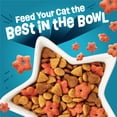thumbnail image 3 of Purina Friskies Party Pack’d with Flavors of Chicken, Liver and Turkey Crunchy Dry Cat Food, 3 lb, 3 of 11