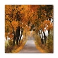 thumbnail image 1 of Fall Bandana, Serene Vivid Maple Trees, Unisex Head and Neck Tie, by Ambesonne, 1 of 2