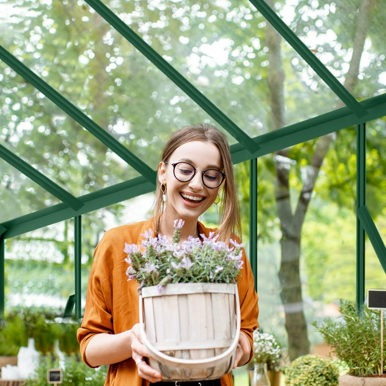 HTS コットンピーチスキン　フード　42　アラスグリーン Ktaxon 6x10ft Polycarbonate Greenhouse, Heavy Duty Aluminum Frame