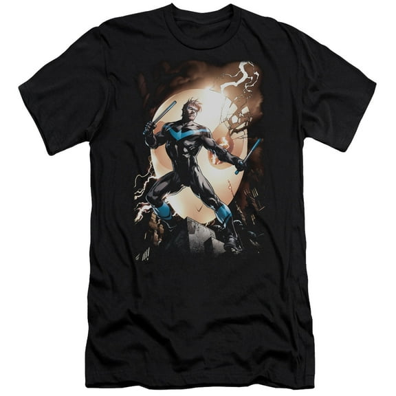 Batman Nightwing Against Owls S/S Adult 30/1 T-Shirt Black